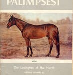 cover of the palimpsest book