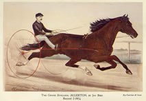 drawing of Allerton horse