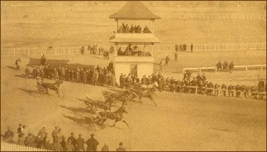 horses running at rush park