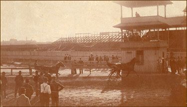 finish line of rush park horse track