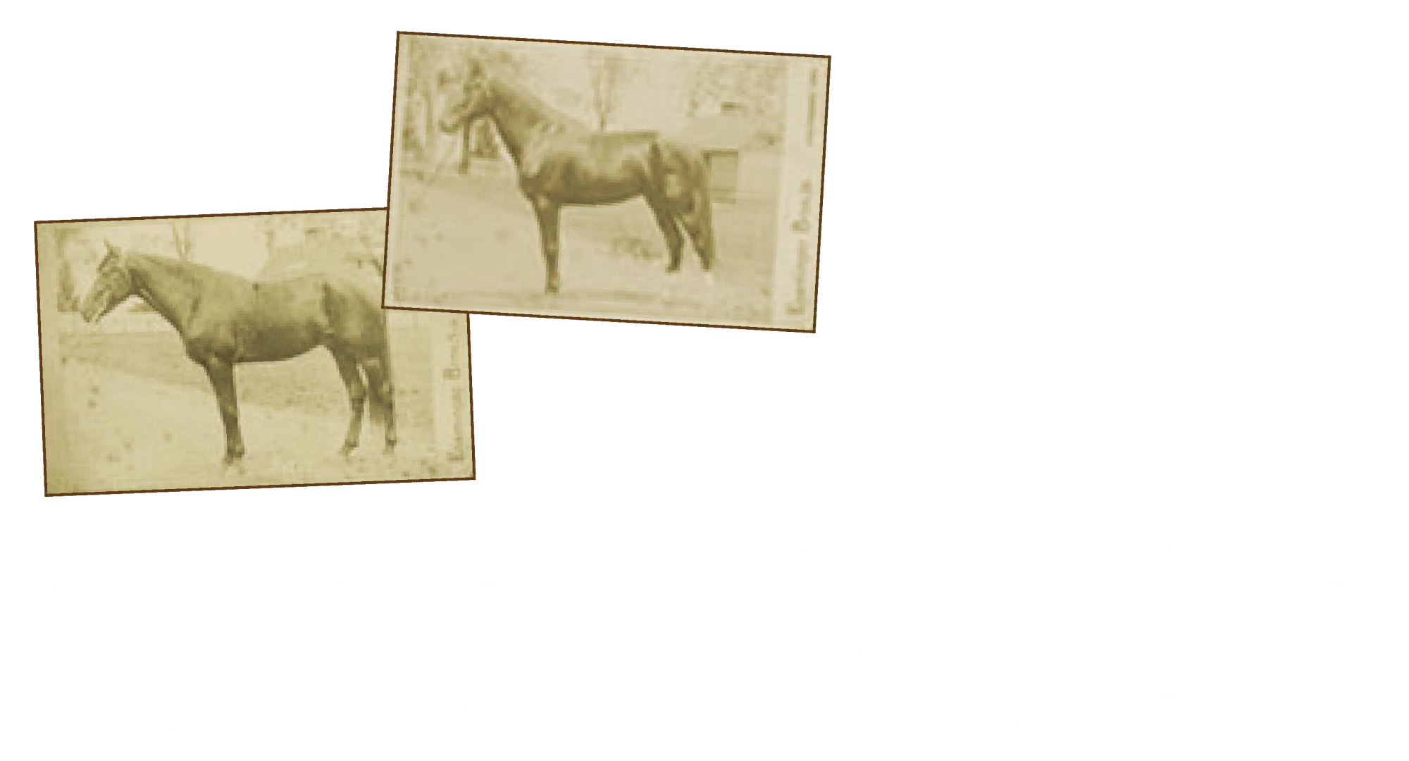 BCHS_Header_Logo_White Text Stacked