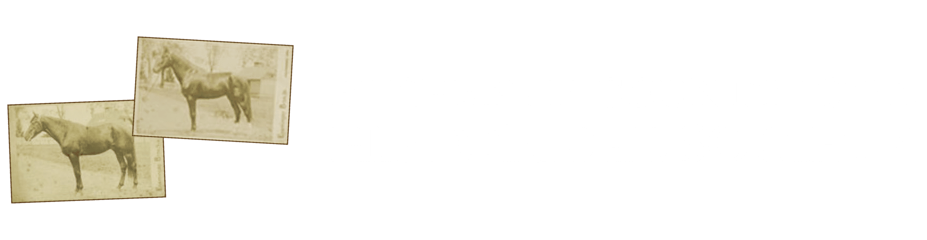 BCHS_Header_Logo_White Text