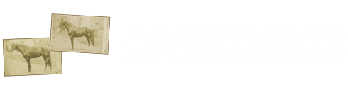BCHS_Header_Logo_White Text